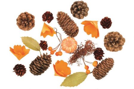 Dekorační komponenty na tvoření - podzim