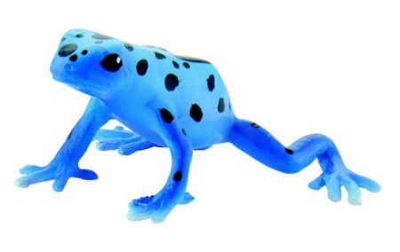 Žába modrá