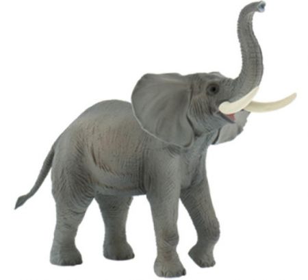 Slon Africký