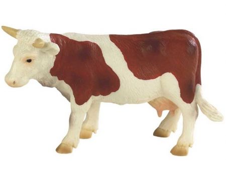 Kráva Fanny hnědo-bílá