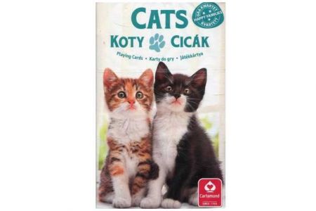 Karty Kvarteto Kočky