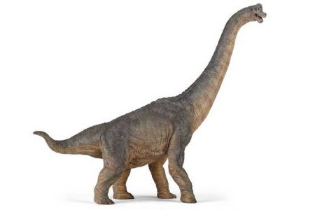 PAPO Brachiosaurus