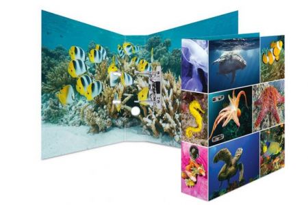 Pákový pořadač A4 7cm motiv Animals - Podmořský svět