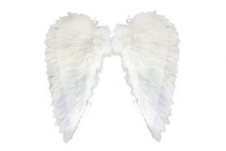 Křídla andělská, menší, peří