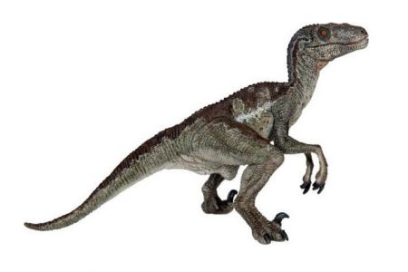 PAPO Velociraptor 17 cm