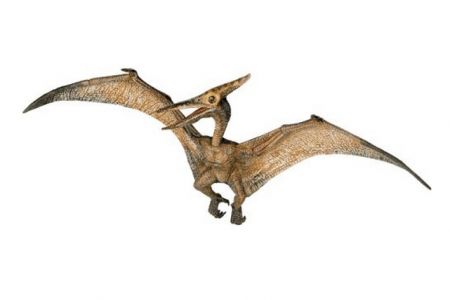 PAPO Pteranodon