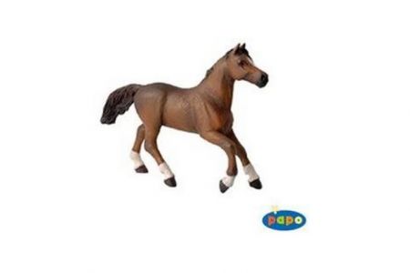 PAPO Kůň Angloarabský 16 cm