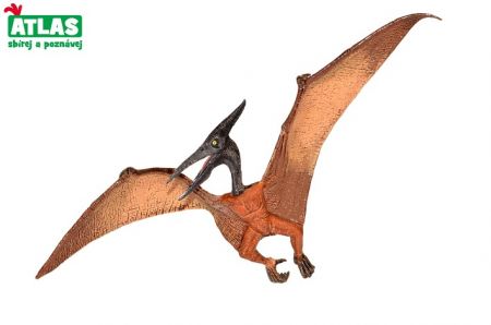 C - Figurka Dino Pteranodon 22cm
