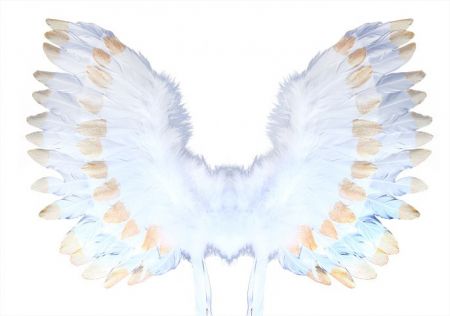 Křídla andělská s peřím, bílo-zlatá