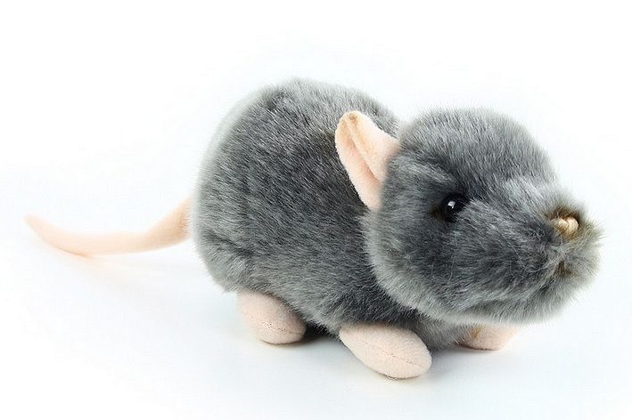 Реалистичная плюшевая мышь. Hansa игрушки Полевая мышь. Купить мышку настоящую. Маленькая обычная мышка как настоящая плюшевая описание.