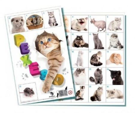 Pexeso Kočky společenská hra 32 obrázkových dvojic