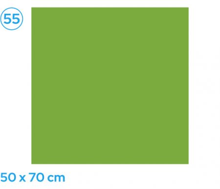 Papír barevný 50 x 70cm zelený