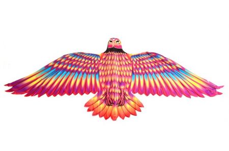 Létající drak orel 132x60 cm/3 druhy