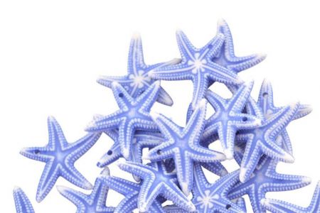 Mořské hvězdy modré 2,3cm 24ks plast