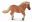 Shetlandský pony - ryzák