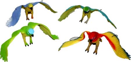 Papoušci 4 druhy
