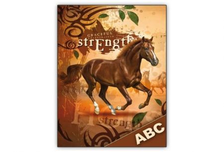 Desky ABC MFP Kůň 50