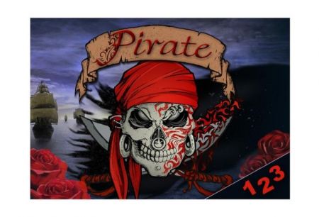 Desky na číslice MFP Piráti