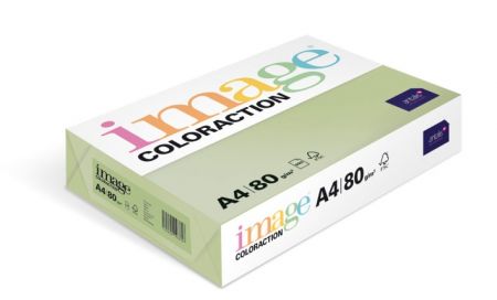 Coloract A4/80g FOREST 100listů