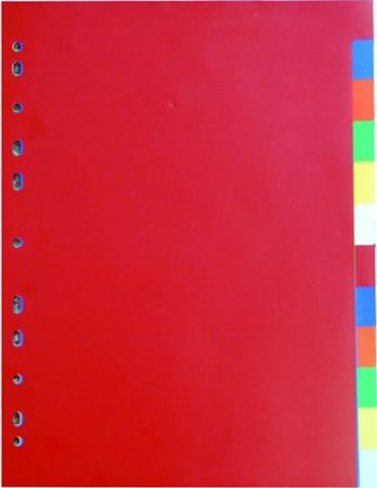 P+P Karton Rozdružovač A4,2x6 barev 120my