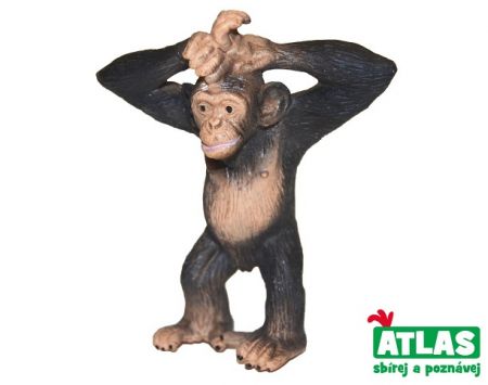 A - Šimpanz 6 cm
