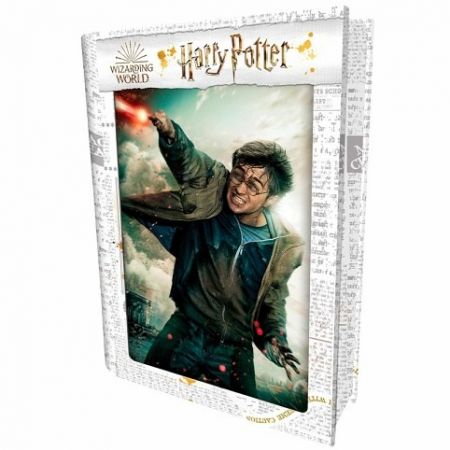 3D PUZZLE Harry Potter 300ks