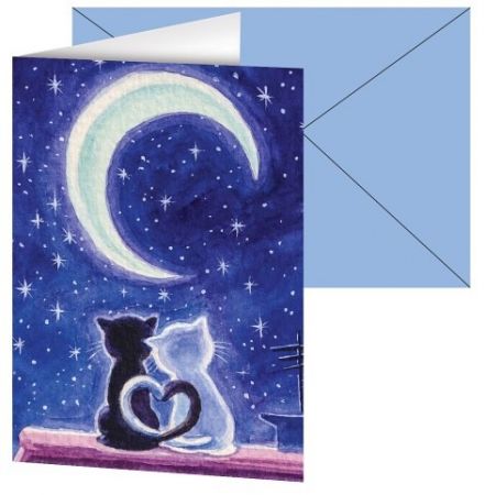 Blahopřání s barevnou obálkou bez textu s motivem koček