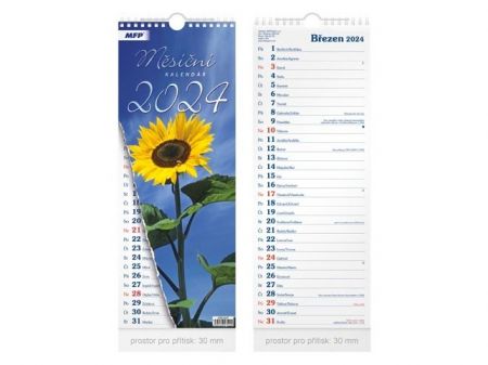 Kalendář 2024 nástěnný Měsíční - vázankový