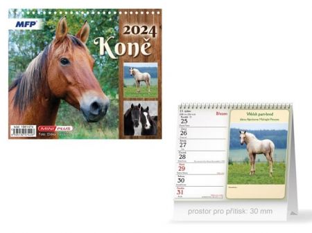 Kalendář 2024 stolní mini Koně