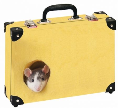 Školní kufřík střední - 33x23x10 cm s motivem myšky