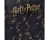 BAAGL Desky na školní sešity A4 Harry Potter Pobertův plánek