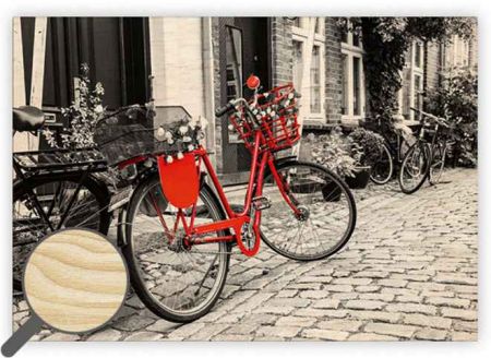 Dřevěný obraz Bicycle / 48,5cm x 34cm / O029