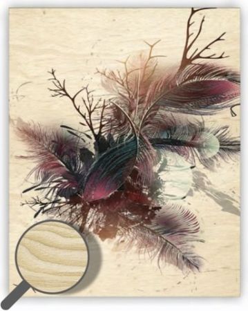 Dřevěný obraz Feathers / 24cm x 30cm / O038
