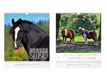 Kalendář 2024 nástěnný malý Horses