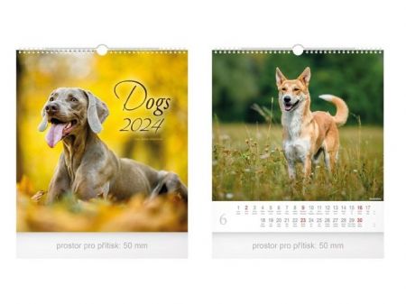 Kalendář 2024 nástěnný malý Dogs