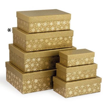 ARGUS Dárková krabice vánoční 25050145