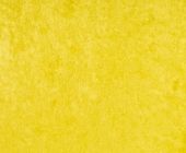 Samet jemný š.147 cm, žlutý, lesk