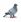 PAPO Pigeon (holub)