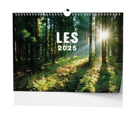 Kalendář nástěnný Les 2025 / 45cm x 32cm / BNK22-25
