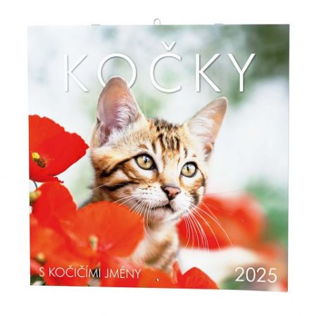 Nástěnný kalendář - Kočky 2025