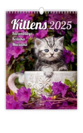 Kalendář nástěnný Kittens/Katzenbabys/Koťátka/Mačičky 2025 / 24cm x 33cm / N180-25