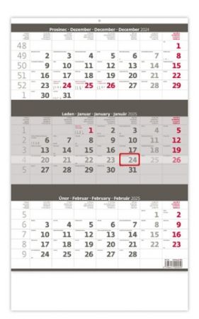 Kalendář nástěnný Tříměsíční šedý 2025 / 31,5cm x 52cm / N204-25