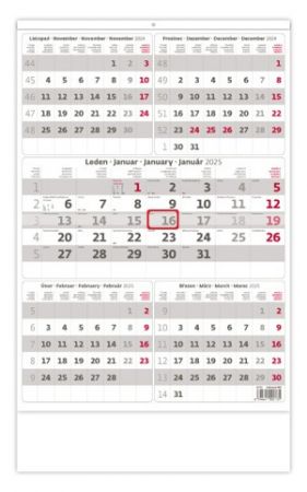 Kalendář nástěnný Pětiměsíční šedý 2025 / 31,5cm x 52cm / N212-25