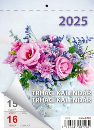 Kalendář nástěnný Týdenní trhací kalendář A6 2025 / 10cm x 15cm / N223-25