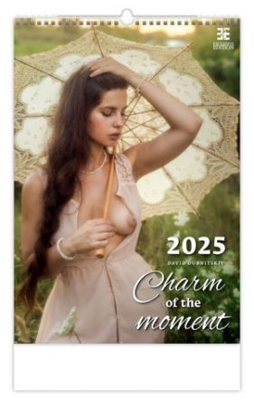 Kalendář nástěnný Charm of the Moment 2025 / 34cm x 55,5cm / N277-25