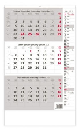 Tříměsíční kalendář šedý s poznámkami 2025 (N210-25)