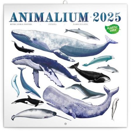 Poznámkový kalendář Animalium 2025, 30 × 30 cm