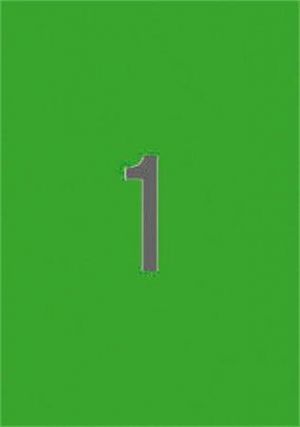 Etiketa, 210 x 297mm, zelená, 20 ks/bal., APLI