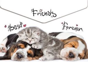 Spisové desky "Animals", s drukem, A4, PP, 160 micron, PANTA PLAST