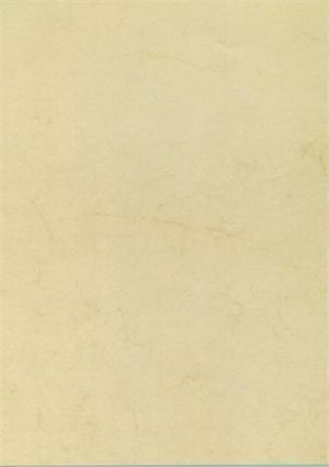 Texturovaný papír, havana, A4, 200g, APLI